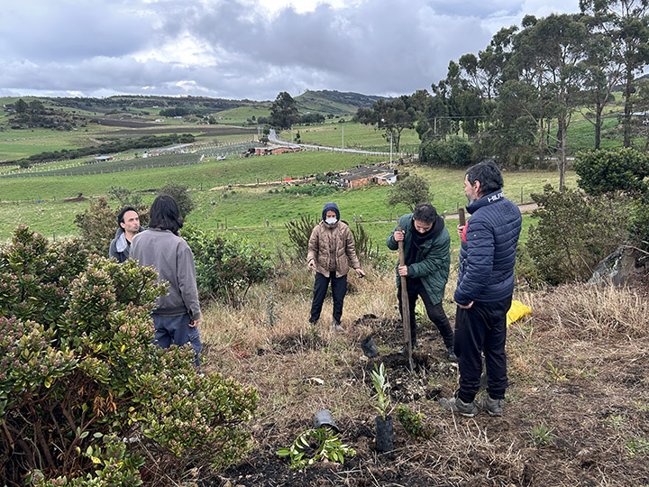 Somatic Choreographies