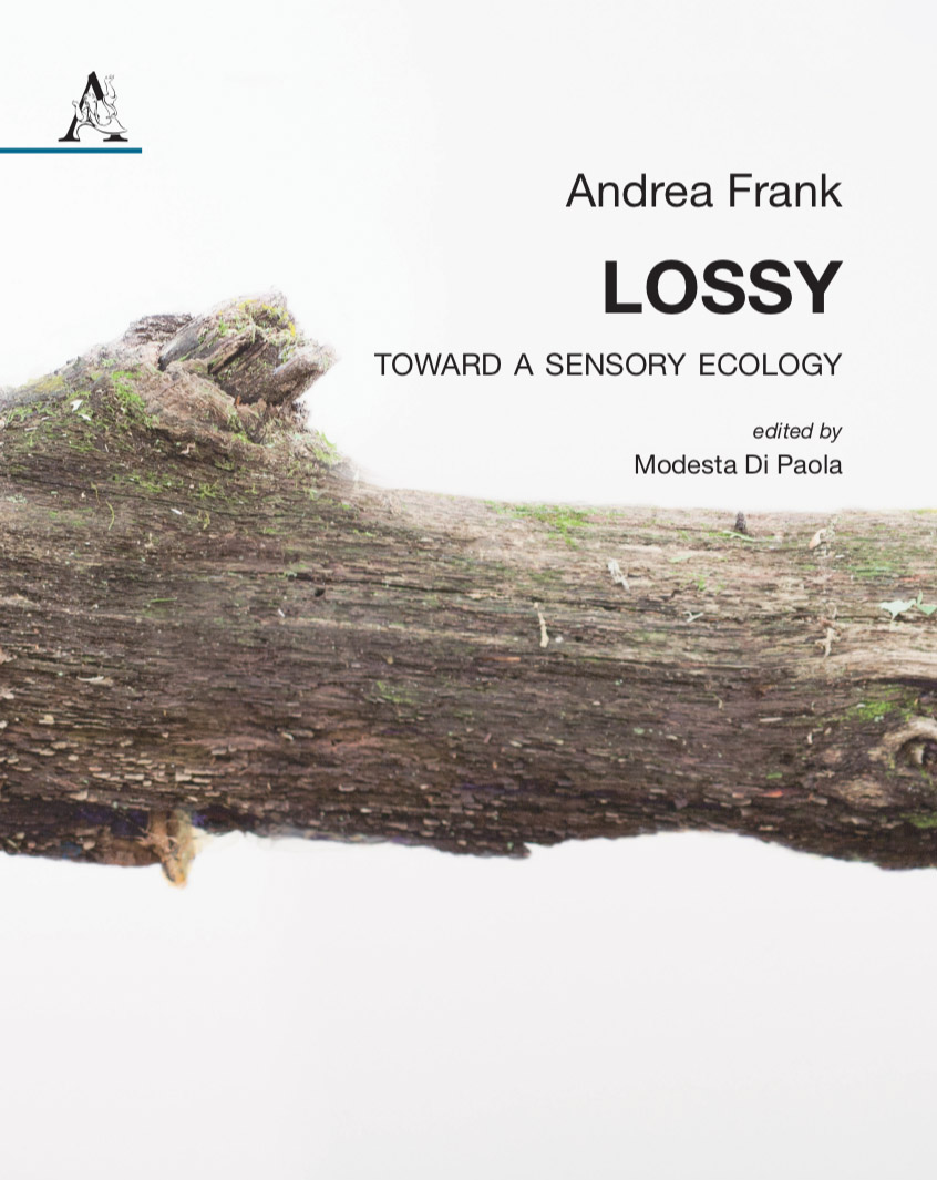 LOSSY: Toward a Sensory Ecology